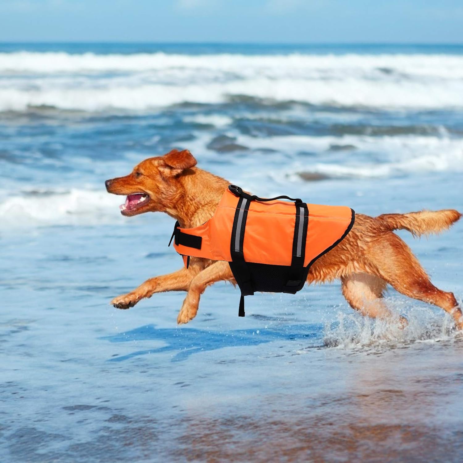 VisiFloat Reflective Dog Life Jacket