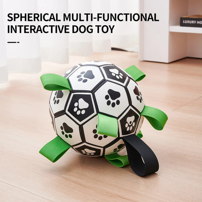 PupPlay Ball Fun Interactive