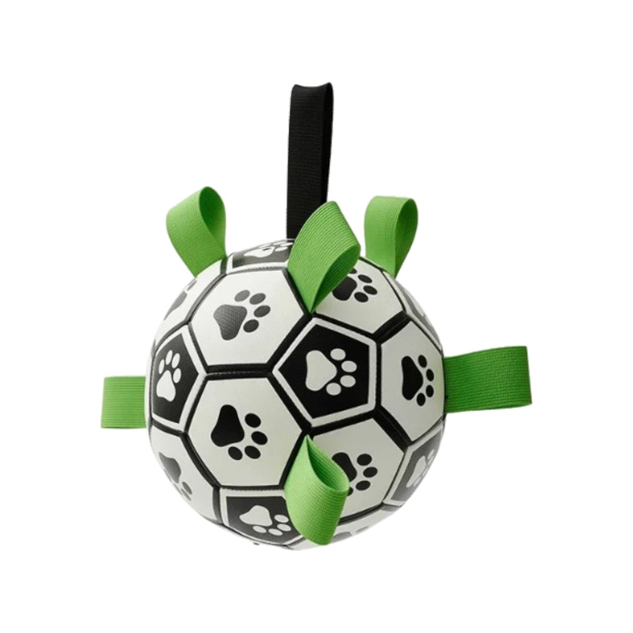 PupPlay Ball Fun Interactive