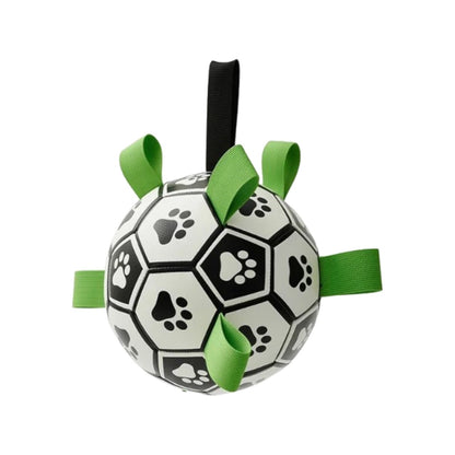 PupPlay Ball Fun Interactive