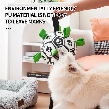 PupPlay Ball Fun Interactive