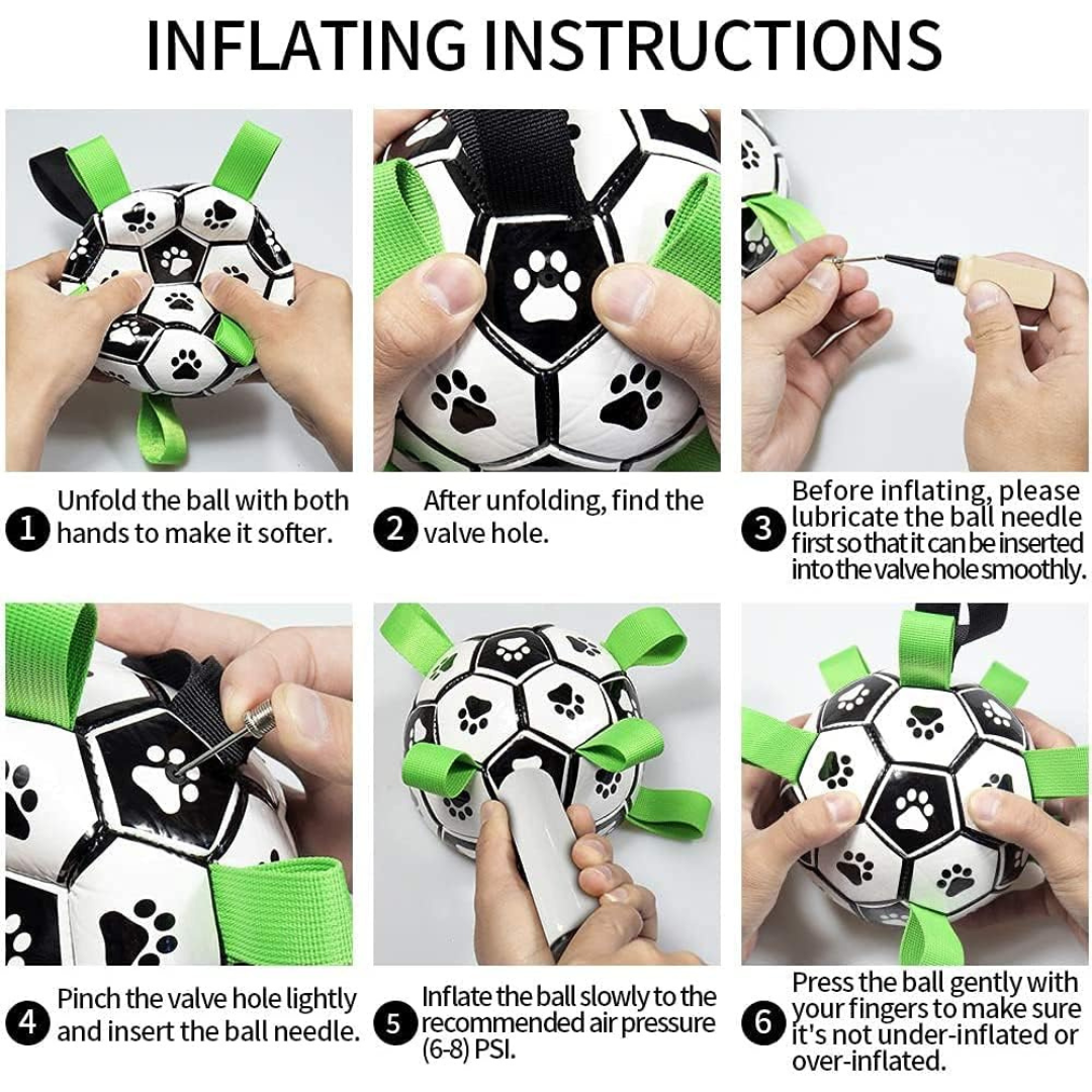 PupPlay Ball Fun Interactive