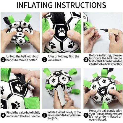 PupPlay Ball Fun Interactive