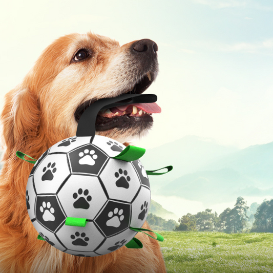 PupPlay Ball Fun Interactive