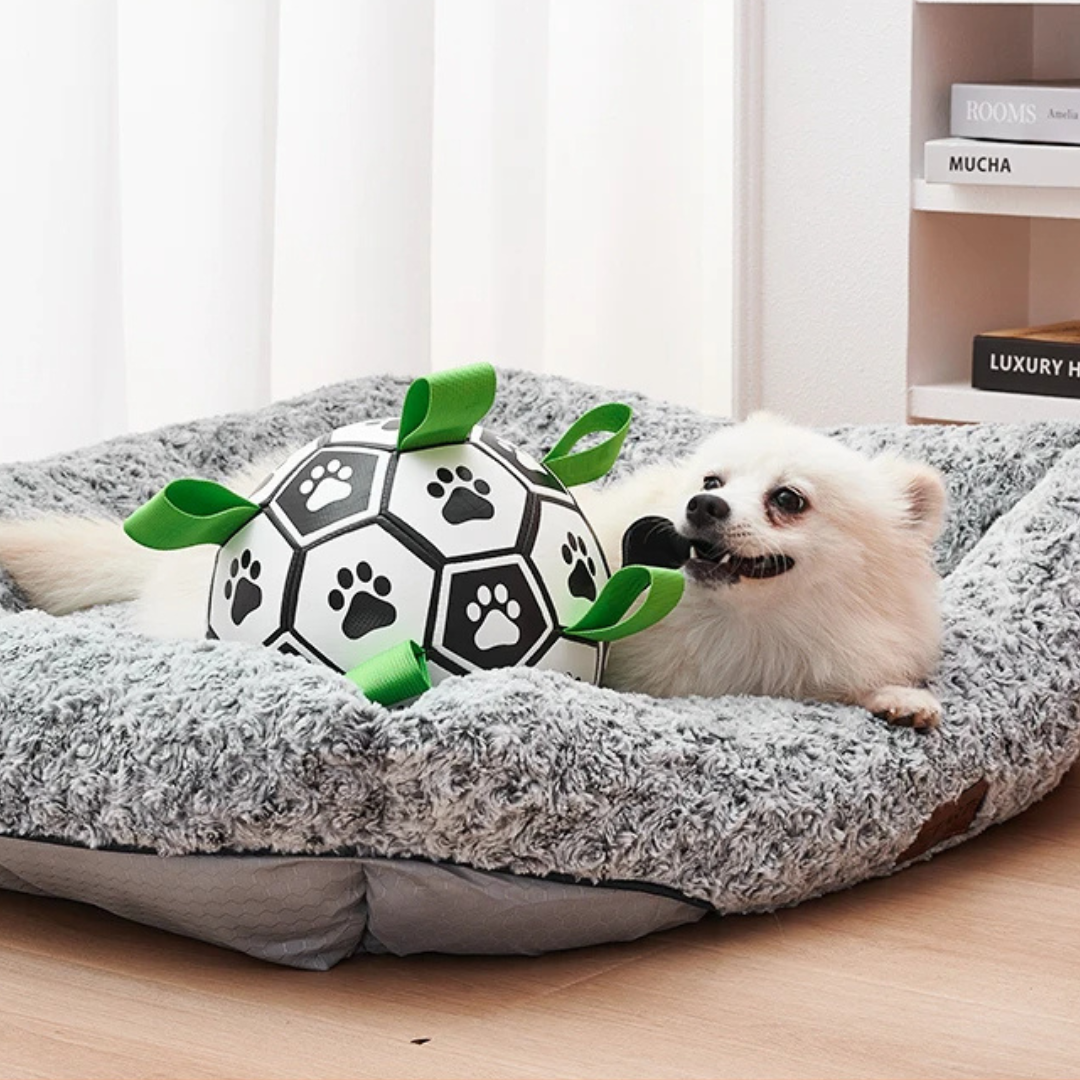 PupPlay Ball Fun Interactive