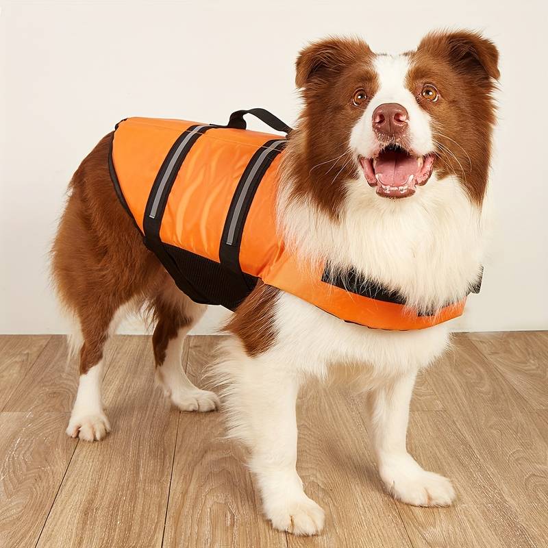 VisiFloat Reflective Dog Life Jacket