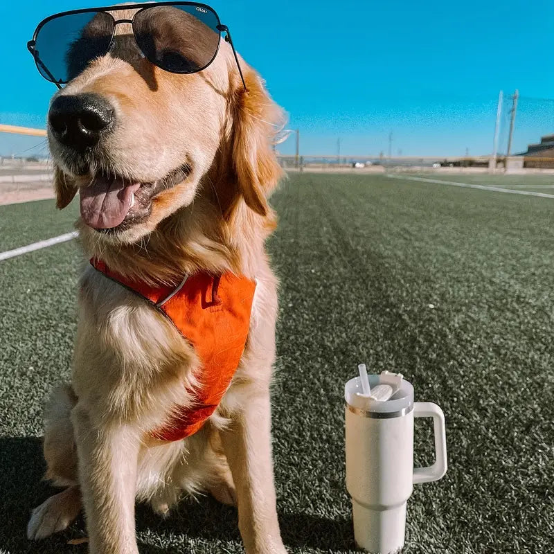 SipMate ThermalPro Travel Mug