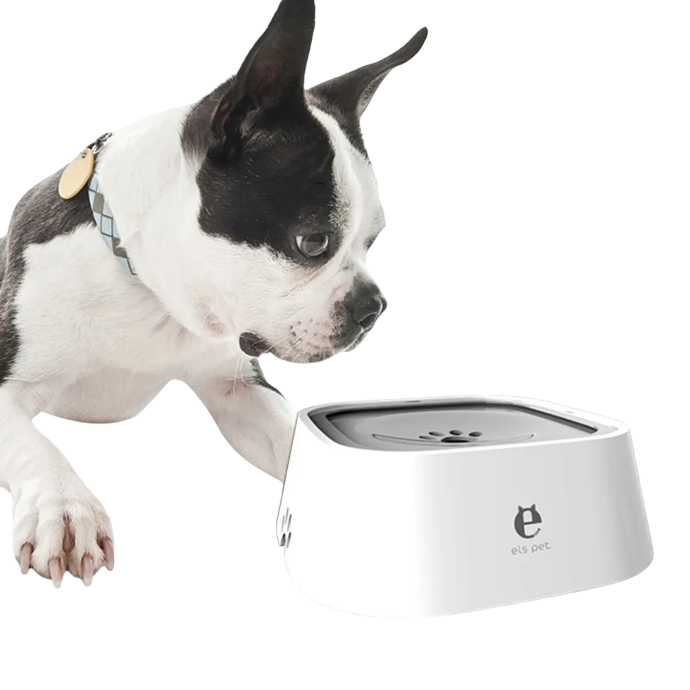 SplashGuard Bowl Large Stable Portable