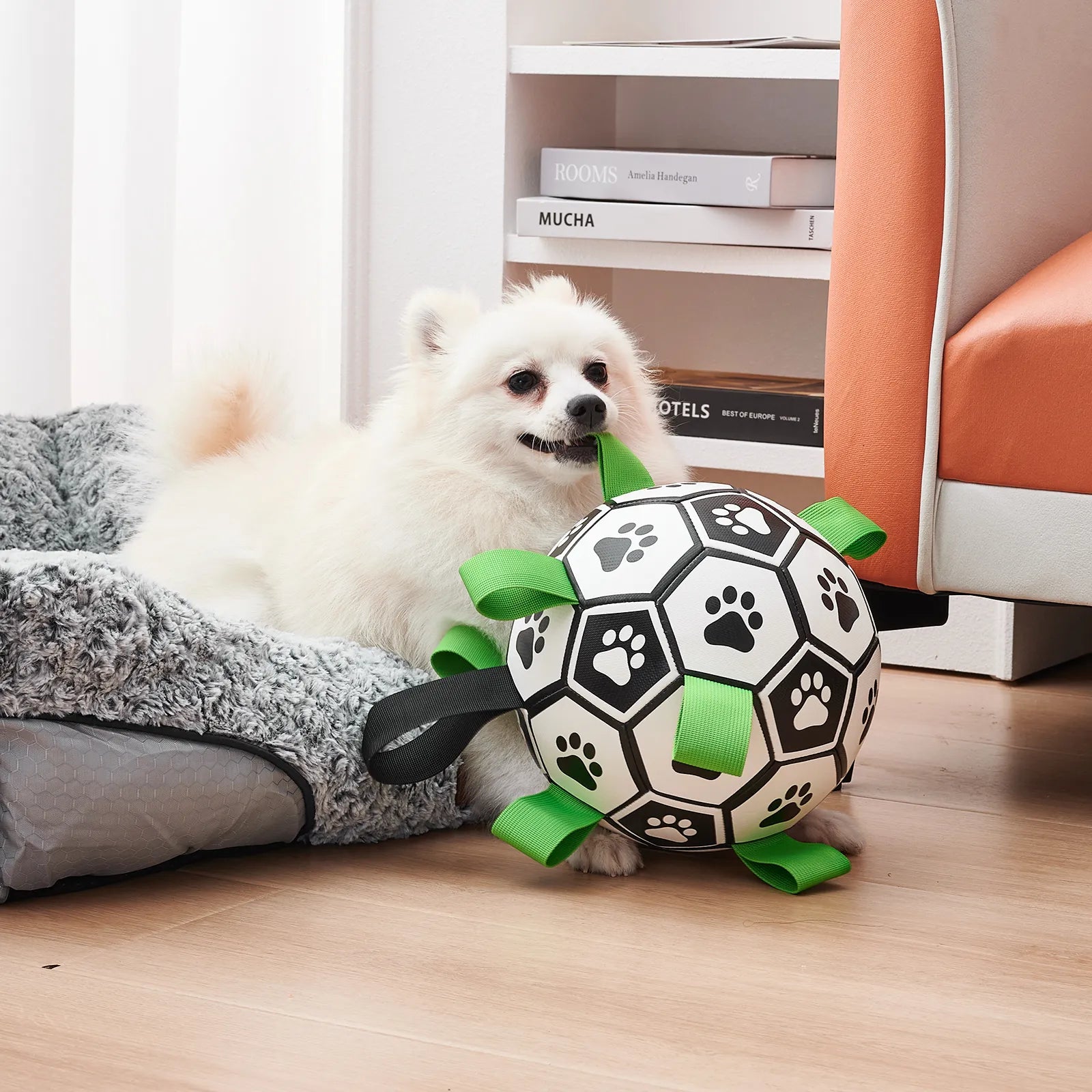 PupPlay Ball Fun Interactive